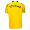 Original Fußballtrikot Borussia Dortmund Cup 2023-24 Für Herren